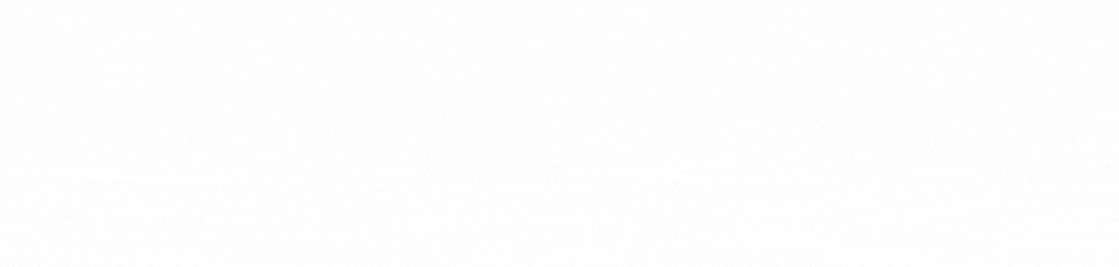 BIG PLAY Sports Network